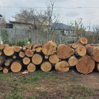 UPDATE 11.11.2025 – Căldură și speranță pentru micuța Dana